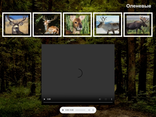 deer/deer screenshot
