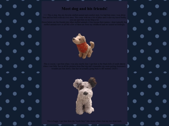 dog screenshot