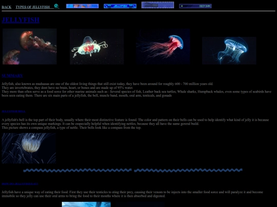 jellyfish screenshot
