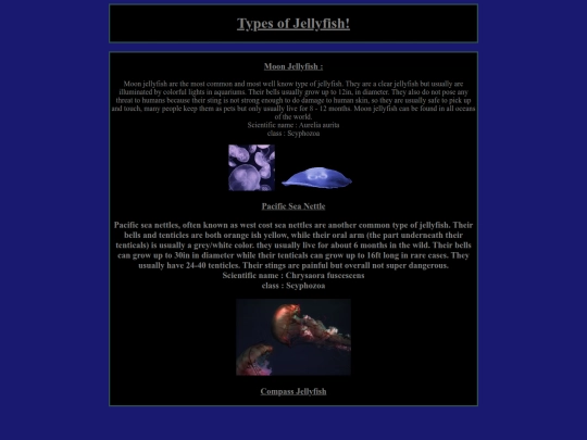 typesofjellyfish screenshot