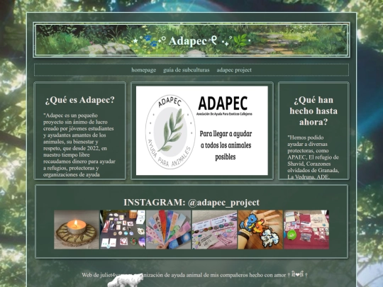 Website screenshot