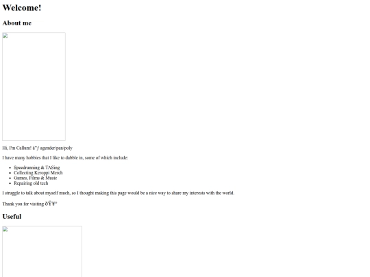dev/pages/Home screenshot