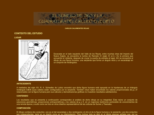 RAMSES screenshot
