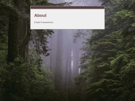about screenshot