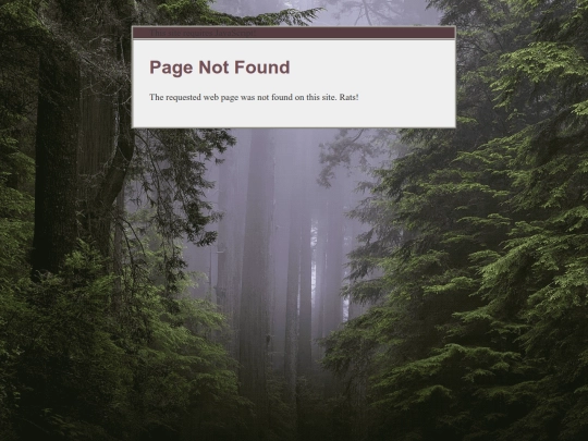 not_found screenshot