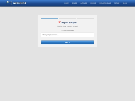 report screenshot