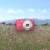 castella.neocities.org avatar