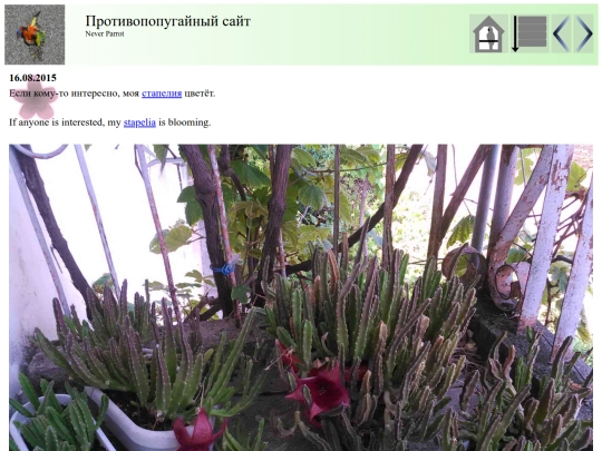 post37 screenshot
