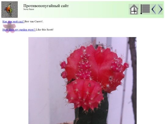 post40 screenshot