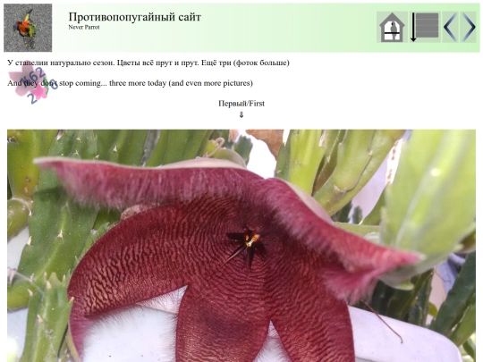 post62 screenshot