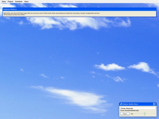 projects screenshot