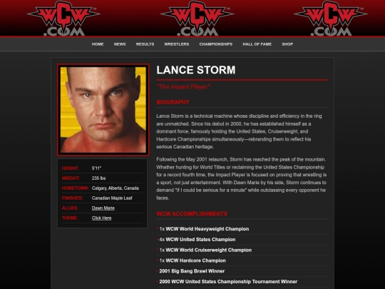 lancestorm screenshot