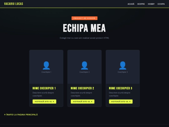 echipa screenshot