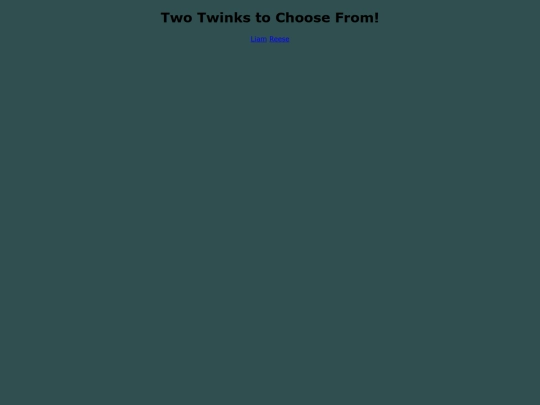 twotwinks screenshot