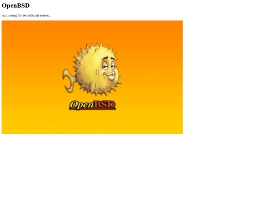 openBSD screenshot