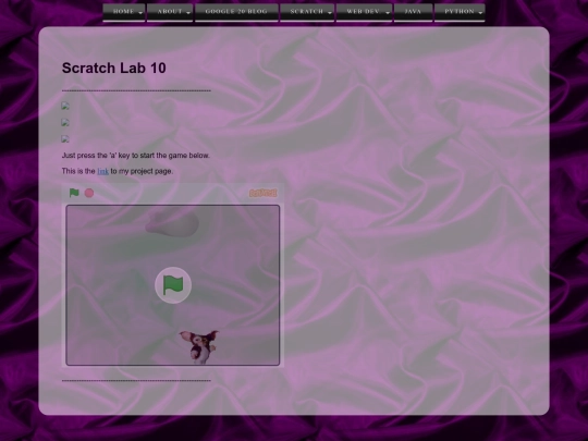 scratchLab10 screenshot