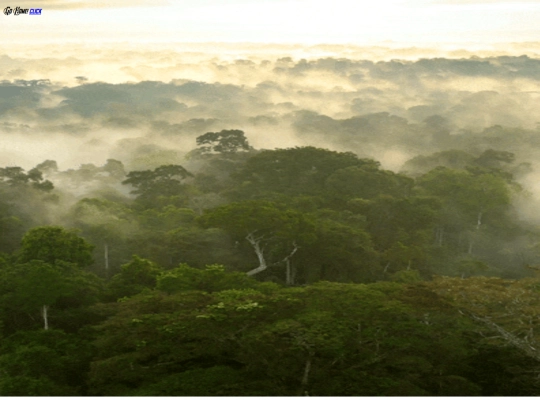 outdoors screenshot