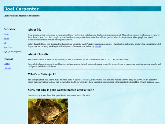Website screenshot