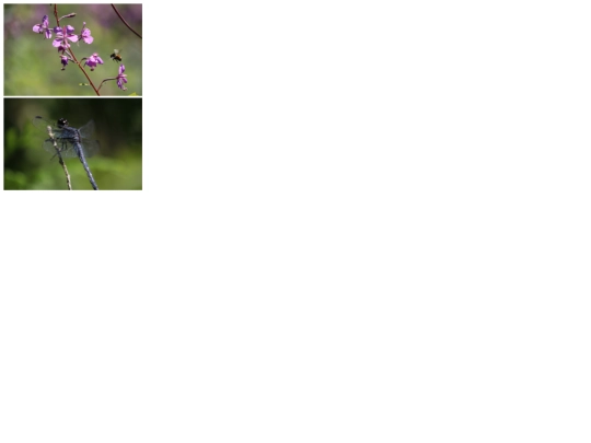 gallery screenshot