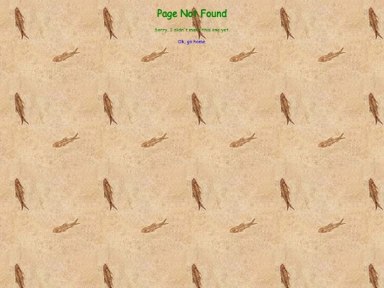 not_found screenshot