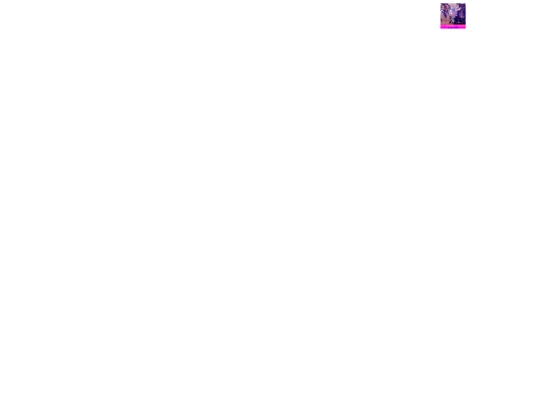 ads screenshot