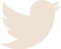 klickpush/twitter-share-tan.png