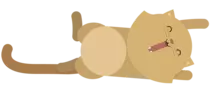 m2ej03/src/img/kitten-large.png