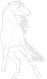 linehorse1.png