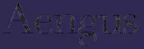 pictures/aengusnameplate.png