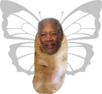 pictures/wings.png