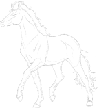 trot.png