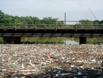 CarpetOfTrash.jpg