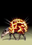 ExploTapir.jpg