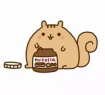 squirrel.jpg