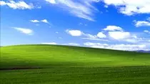 images/bliss.jpg