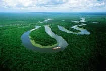 amazonas.jpeg