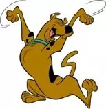 Ejercicios/Modulo2/Obligatorio/scooby11.jpg