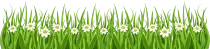 Modulo03/Ej1/flores.png