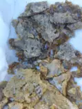 shatter2.jpg