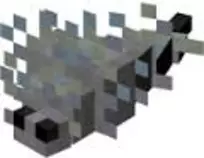 siverfish.jpg