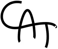 cat_v1.jpeg