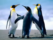 img/img03.jpg