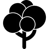 modulo3/ejercicio1/arbol.png