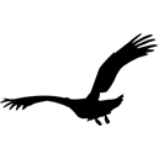 modulo3/ejercicio1/pajaro.png