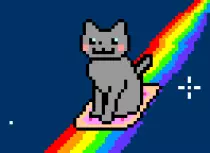 cat.gif