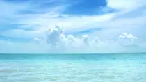 fondo.png