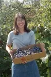 grapes.jpeg