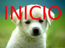perro.jpeg