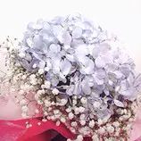 images/flower9.jpg