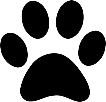 CreativeCoding/week7/paw.png